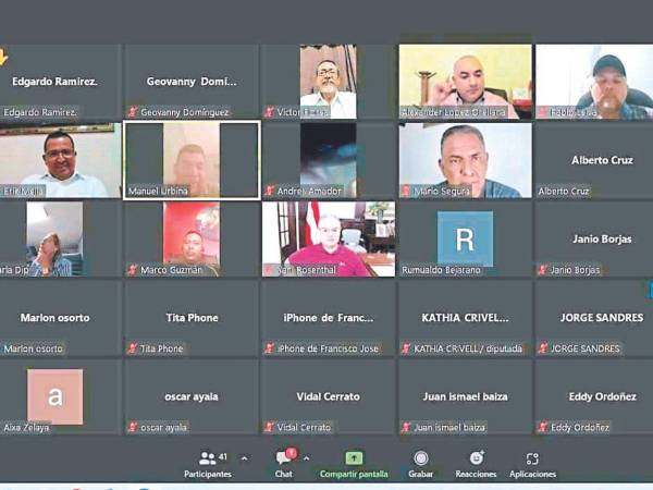 Diputados, alcaldes y autoridades del CCEPL sostuvieron una reunión vía Zoom ayer para discutir el tema, donde en su mayoría se manifestó en contra de la propuesta.