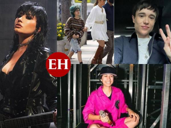 En el mes del orgullo LGTB+ algunos grandes artistas como Demi Lovato, Ezra Miller y Elliot Page celebran, pero además exigen se deje de estigmanizar el amor con etiquetas y piden que se use el pronombre “elle” para refirirse a su persona. En esta galería de contamos de quiénes se trata.