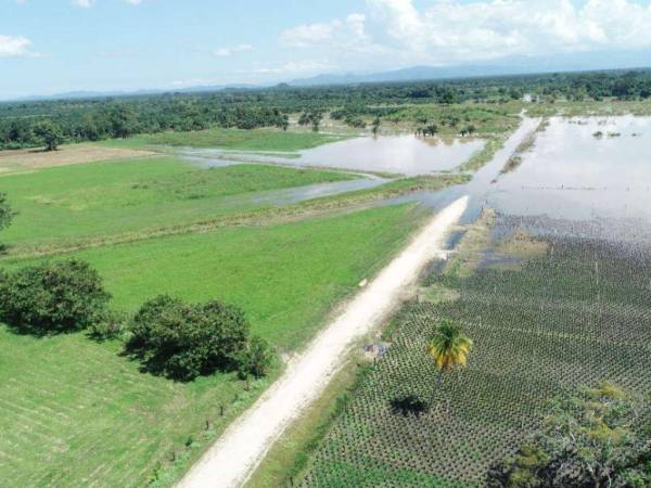 El gobierno aún no ha cuantificado el impacto de la tormenta tropical Julia en la economía nacional.