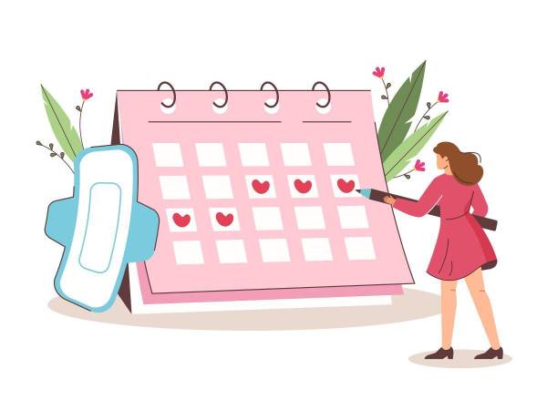 El ciclo menstrual tiene varias fases: la fase menstrual (días 1-5), la fase folicular (días 1-13), ovulación (día 14), fase lútea (días 15-28). Si no hay un óvulo fertilizado (embarazo), el ciclo comienza de nuevo con la fase menstrual.