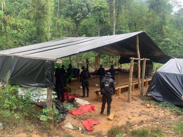 El operativo contó con un alto despliegue de agentes policiales.