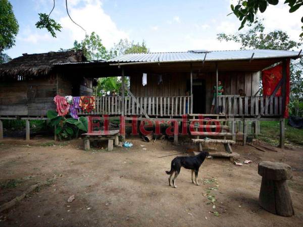 El pueblo tawahka de la aldea Krausirpi, Gracias a Dios, sobrevive en pobreza extrema ante el abandono de las autoridades del Gobierno, que no han sido capaces de realizar proyectos.