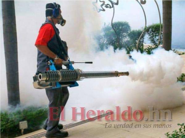 Actualmente, se están haciendo labores de fumigación en barrios y colonias para eliminar al zancudo en su fase adulta.