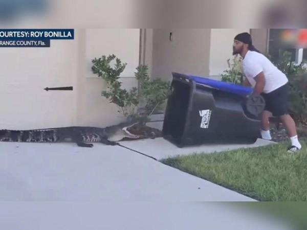 El hombre logró meter el animal dentro del bote después de varios intentos.