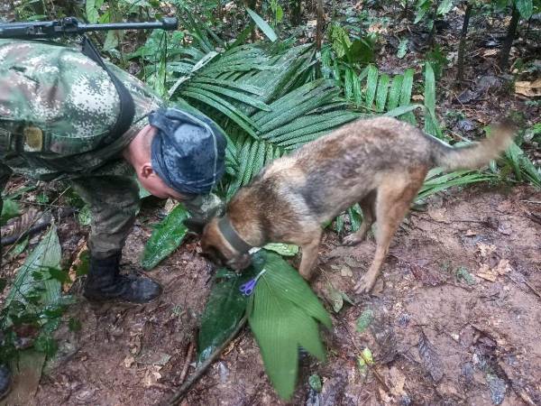 Alrededor de 100 soldados con Perros rastreadores están siguiendo el “rastro” de los cuatro niños desaparecidos.