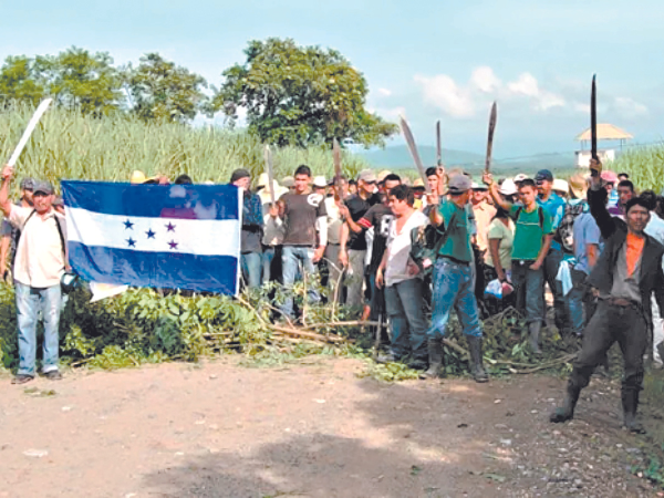 En ocho departamentos hay tierras usurpadas por individuos que no son campesinos, denuncian los afectados del rubro empresarial.