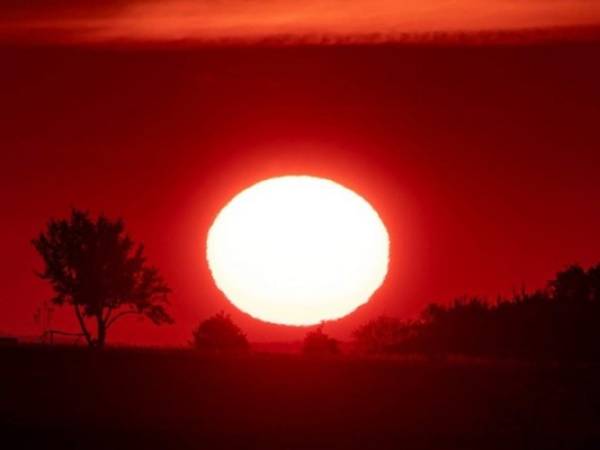 Polonia tuvo este año la temperatura más alta jamás registrada para un mes de junio, con 38,2 ºC. Foto AP