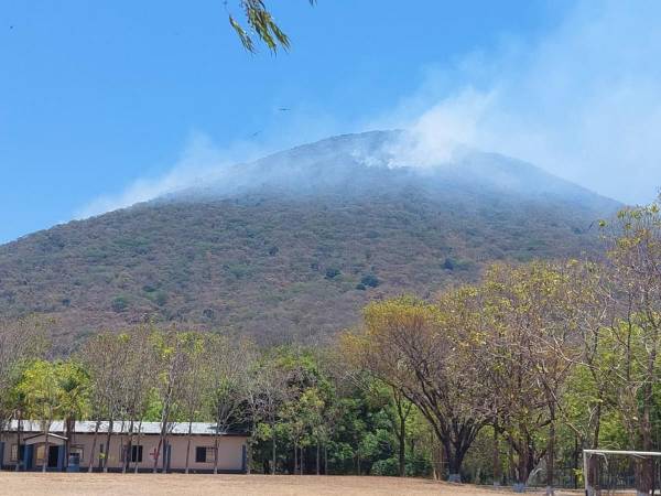 Incendio forestal afecta zonas altas de la Isla del Tigre desde hace tres días