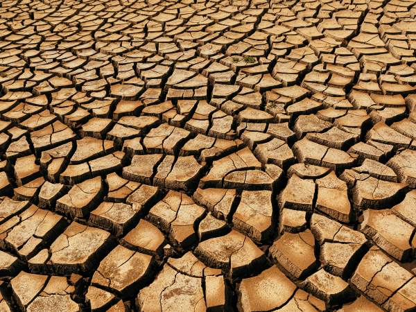 Los efectos en las temperaturas mundiales suelen notarse al año siguiente del desarrollo del fenómeno.