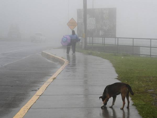 Los efectos del fenómeno climático se registran justo al cumplirse los 25 años del Huracán Mitch.