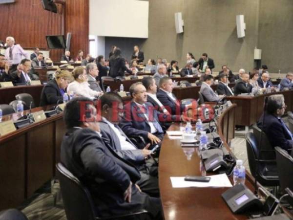 Los diputados han respaldado esta normativa en el Congreso Nacional. (Foto: El Heraldo Honduras)