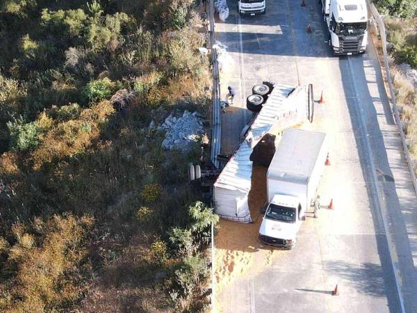 Tras el impacto, el autobús volcó sobre su costado derecho y cayó a un barranco.