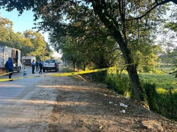 La policía no tiene pistas de quiénes son los autores materiales de los crímenes.