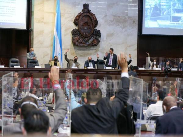 El dictamen podría entrar en debate la próxima semana en el Poder Legislativo.