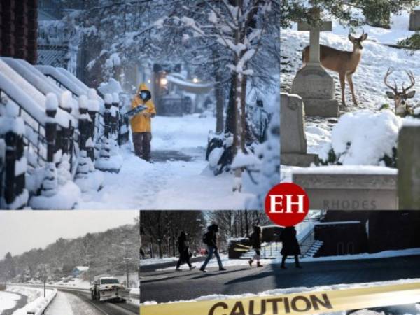 La fuerte nevada que cayó en buena parte del noreste de Estados Unidos paralizó este viernes transportes aéreos y perturbó el tráfico rodado, así como la asistencia a los colegios ya afectados por la epidemia de covid-19. Fotos: AFP.