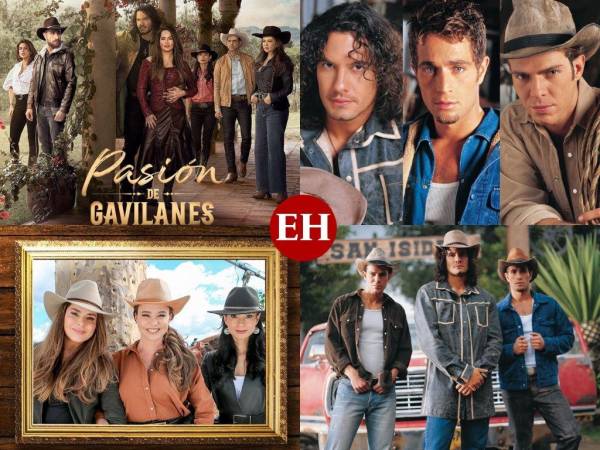 El estreno de la segunda entrega de Pasión de Gavilanes será el próximo 14 de febrero, por lo que sus miles de fanáticos están a la expectativa de la nueva trama y el aspecto de los protagonistas de la telenovela de Telemundo. Mario Cimarro, Michel Brown y Juan Baptista son los hermanos Reyes, quienes comenzaron su romance con Danna García, Natasha Klaus y Paola Rey, las hermanas Elizondo. A continuación te mostramos cómo lucen los famosos actualmente.