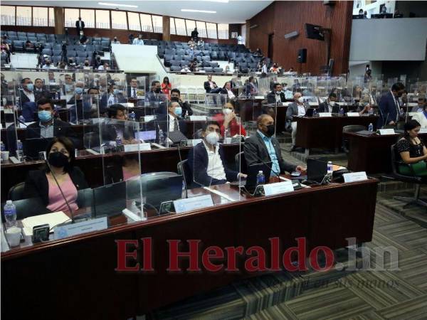 En las primeras reuniones legislativas se nombraron varias comitivas especiales a falta de la conformación de las ordinarias, pero no se han puesto al día con su trabajo.