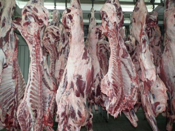 Todos los viernes debe guardarse la abstinencia de carne, o de otro alimento que haya determinado la Conferencia Episcopal