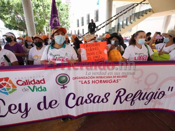 En los bajos del Congreso Nacional organizaciones de mujeres también solicitaron una ley de casas refugio.