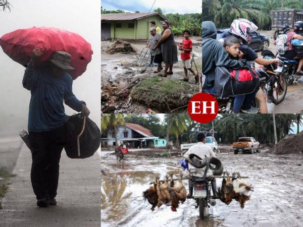 Con algunos de sus enseres, con sus mascotas y con productos de necesidad básica varios residentes de las zonas vulnerables de país han tenido que evacuar sus hogares para evitar ser sorprendidos por el feroz paso de la ahora tormenta tropical Julia, la cual se encuentra haciendo estragos en Nicaragua. A continuación más detalles.