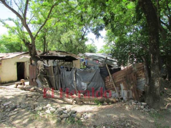 El porcentaje de hogares urbanos en pobreza es de 33 por ciento y de hogares rurales es de 55.2 por ciento.