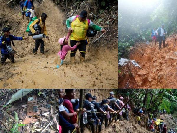 La frontera selvática del Darién entre Colombia y Panamá, de 266 km, se ha convertido en corredor para los migrantes irregulares que tratan de cruzar Centroamérica en su camino desde Sudamérica a Estados Unidos, pero para algunos ha sido su sombría tumba. Desde madres capaces de abandonar a sus hijos ahí, hasta padres desesperados que al perder sus hijos se lanzan al vacío para también morir, el lugar es considerado por migrantes como la selva a la que Dios no entra.