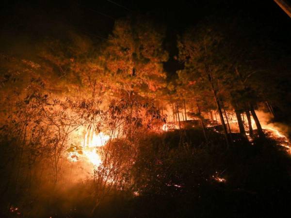 Preliminarmente se informan de alrededor de 1,000 hectáreas quemadas en el incendio en La Tigra.