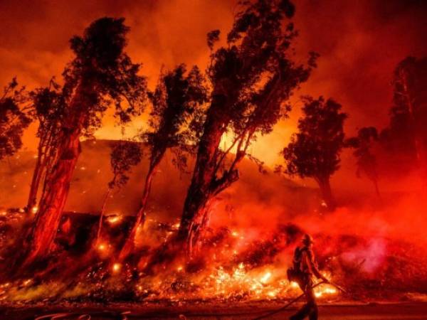 Más de 11,000 personas evacuaron el 31 de octubre, cuando soplaron vientos secos que atizaron incendios en todo el estado. Foto: AP.