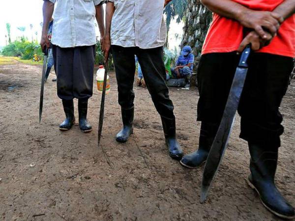 Según el personal de la finca, los guardias no portaban armas, mientras que los campesinos iban fuertemente armados.