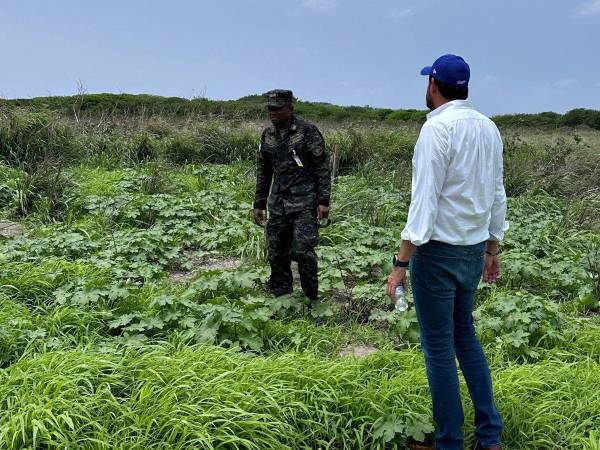 El gobierno de Honduras ya ha autorizado realizar las compras directas de materiales para construir el centro penal en las Islas del Cisne.