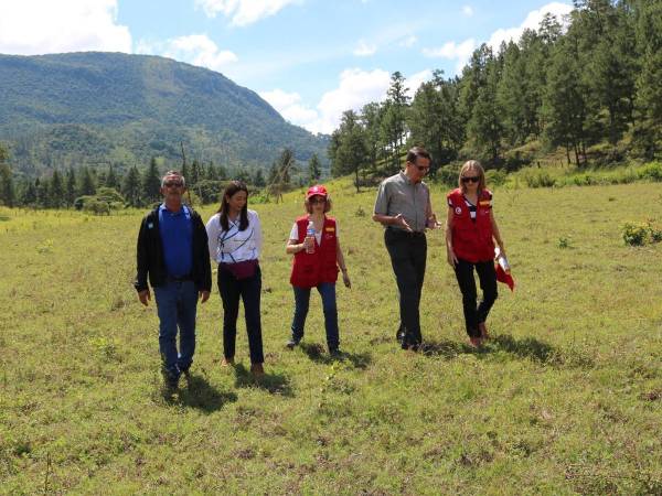 Representantes de la Secretaría de Salud, Fonprode y Cooperación Española recientemente recorrieron los terrenos de Salamá, Santa Bárbara y Ocotepeque para conocer los lugares donde se construirán los hospitales. Aquí durante su visita en Salamá, Olancho.