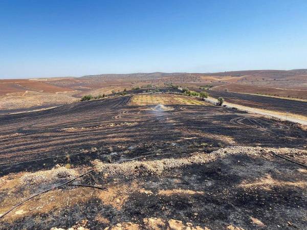 Imagen de una zona devastada por el incendio.