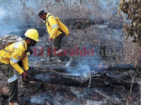 En el sector de Plan Grande, San Juancito, se registró un incendio que consumió alrededor de diez hectáreas de bosque.