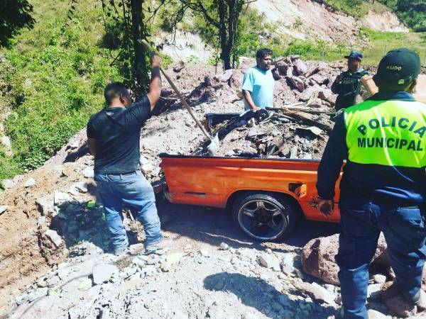 Si la persona que violenta el medio ambiente se conduce en su vehículo, el automotor puede ser decomisado por las autoridades.