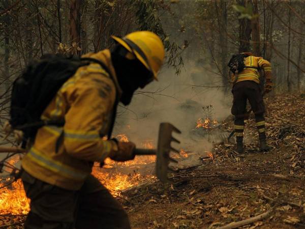 Del total de fallecidos, 10 se registraron en el pueblo de Santa Juana, en la región de Biobío, donde cinco de ellos eran miembros de una misma familia.