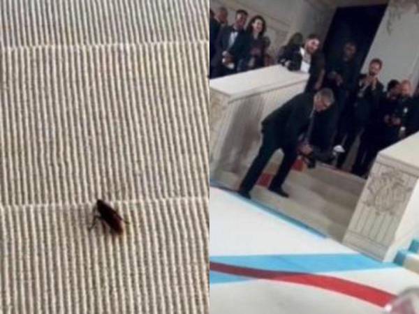 El insecto caminó varios metros en la alfombra de la Met Gala.