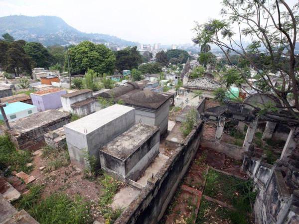 El 14 y 20 de octubre a las 9:00 AM será la salida desde el CAC-UNAH.