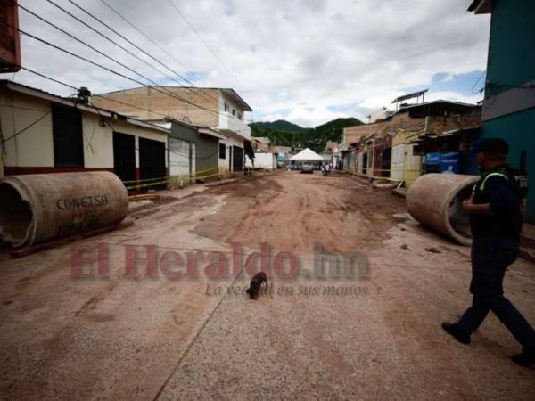 Cierran socavón de Prados Universitarios tras tres meses de trabajos