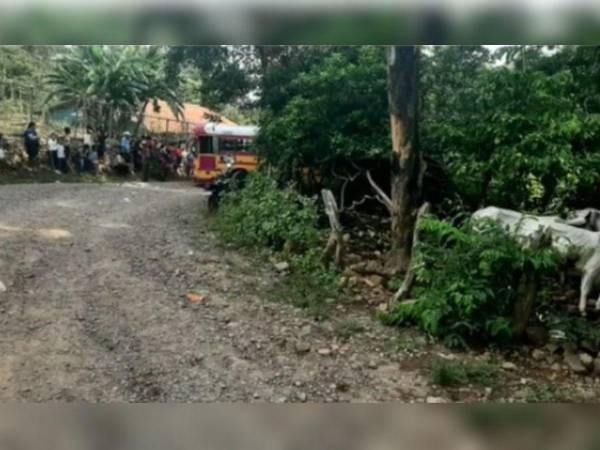 El hecho se registró en la aldea Cerro Verde de Linaca, Choluteca.