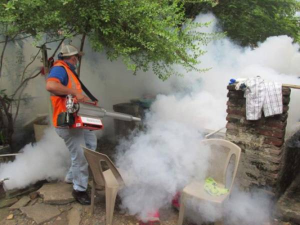 Los operativos de fumigación permiten eliminar el mosquito adulto que se encuentra en las viviendas.