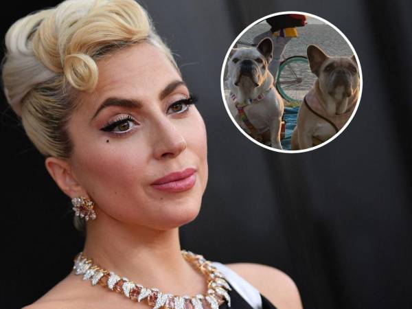 En el momento del secuestro, Lady Gaga ofreció una recompensa de 500 mil dólares por recuperar sus perros.