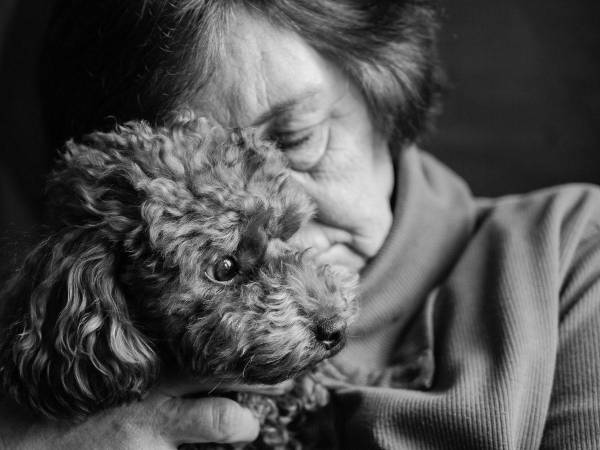 La presencia de un perro disminuye el cortisol, ayudando a calmar la mente y reducir la ansiedad.