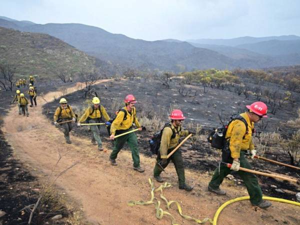 Cerca de 1,700 bomberos luchan por apagar el incendio.