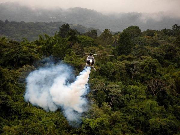 Según el ministro, el dengue ha llevado a tener hasta 25 niños hospitalizados de manera simultánea, con casos de niños “en estado grave”.