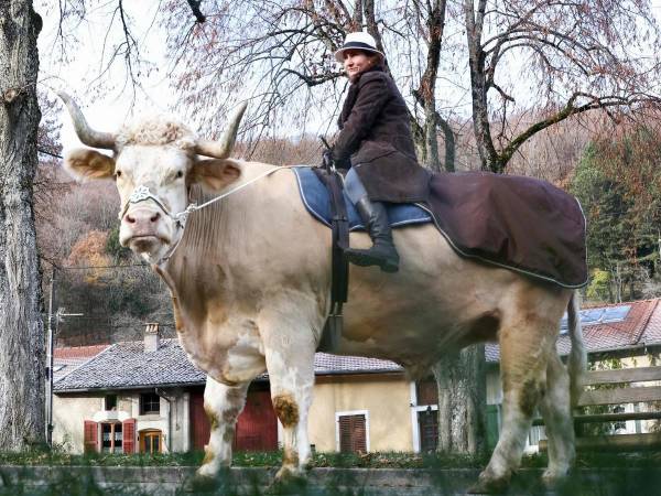 La jinete Sabine Rouas y el toro Aston.