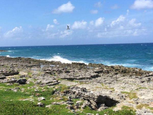 Entre los meses de mayo y junio se prevé lanzar la licitación de la cárcel en Islas del Cisne, según proyecciones de Defensa.