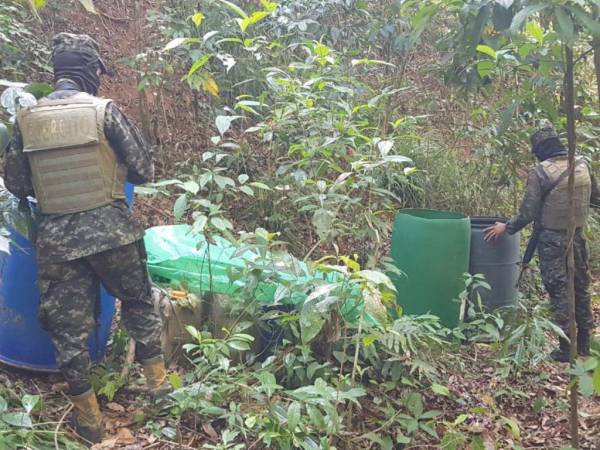 En el lugar fueron encontrados diferentes químicos utilizados para la elaboración de clorhidrato de cocaína.