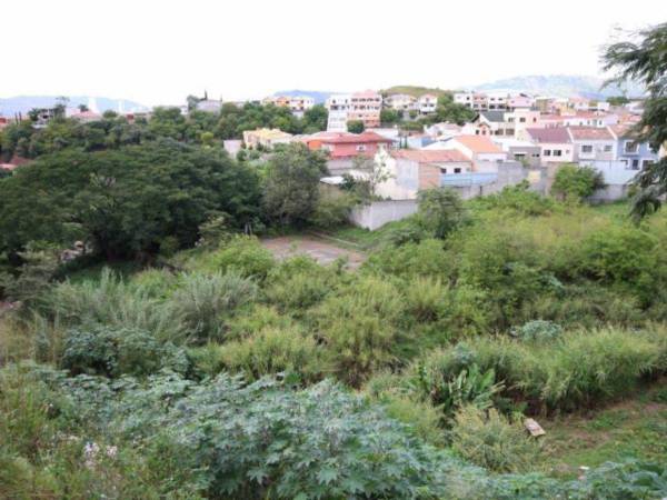 Este parque ecológico se construirá en un predio ubicado entre las colonias Hato de Enmedio, El Trapiche y San Ignacio.