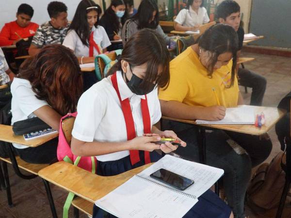 Los estudiantes obtendrán habilidades enfocadas al trabajo.