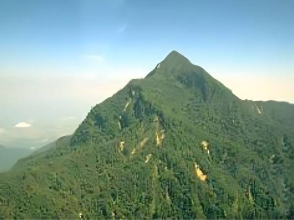 El Parque Nacional Pico Bonito fue declarado como tal el 5 de enero de 1987 mediante el Decreto Legislativo No. 87-87.